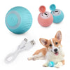 Auto Rolling Self-Moving Pet Toy - Wowza Toko