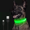 LED Dog Collar - Wowza Toko