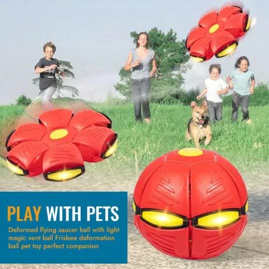 Pet Flying Saucer Ball - Wowza Toko