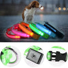 LED Dog Collar - Wowza Toko